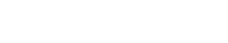 Rob Viola Insurance Services